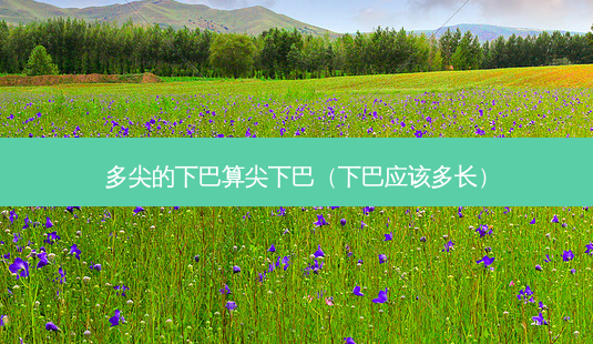 多尖的下巴算尖下巴(下巴应该多长)-第1张图片-美呗严选网 多尖的下巴算尖下巴(下巴应该多长)-第1张图片-美呗严选网