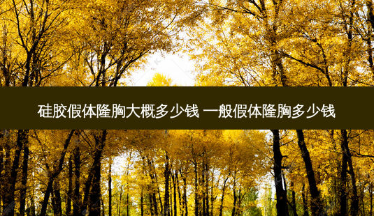 硅胶假体隆胸大概多少钱 一般假体隆胸多少钱-第1张图片-美呗严选网 硅胶假体隆胸大概多少钱 一般假体隆胸多少钱-第1张图片-美呗严选网
