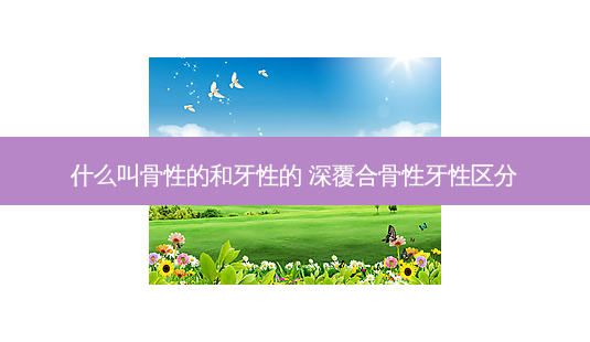 什么叫骨性的和牙性的 深覆合骨性牙性区分-第1张图片-美呗严选网 什么叫骨性的和牙性的 深覆合骨性牙性区分-第1张图片-美呗严选网
