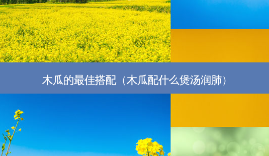 木瓜的佳搭配(木瓜配什么煲汤润肺)-第1张图片-美呗严选网 木瓜的佳搭配(木瓜配什么煲汤润肺)-第1张图片-美呗严选网