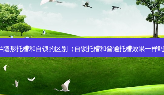 半隐形托槽和自锁的区别(自锁托槽和普通托槽效果一样吗)-第1张图片-美呗严选网 半隐形托槽和自锁的区别(自锁托槽和普通托槽效果一样吗)-第1张图片-美呗严选网