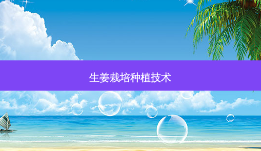 生姜栽培种植技术-第1张图片-美呗严选网 生姜栽培种植技术-第1张图片-美呗严选网