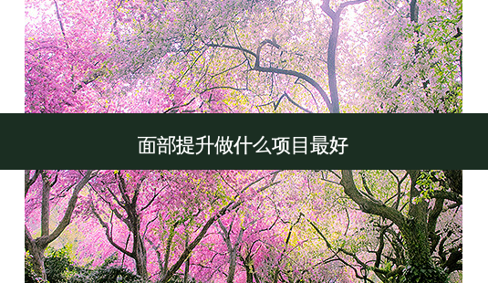 面部提升做什么项目好-第1张图片-美呗严选网 面部提升做什么项目好-第1张图片-美呗严选网