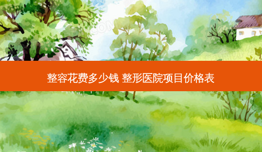 整容花费多少钱 整形医院项目价格表-第1张图片-美呗严选网 整容花费多少钱 整形医院项目价格表-第1张图片-美呗严选网