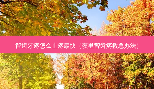 智齿牙疼怎么止疼快(夜里智齿疼救急办法)-第1张图片-美呗严选网 智齿牙疼怎么止疼快(夜里智齿疼救急办法)-第1张图片-美呗严选网