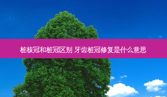 桩核冠和桩冠区别 牙齿桩冠修复是什么意思-第1张图片-美呗严选网