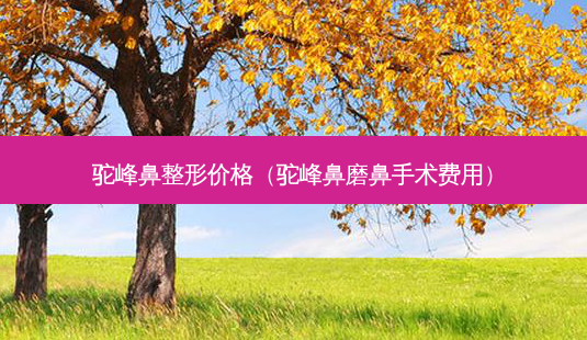 驼峰鼻整形价格(驼峰鼻磨鼻手术费用)-第1张图片-美呗严选网 驼峰鼻整形价格(驼峰鼻磨鼻手术费用)-第1张图片-美呗严选网