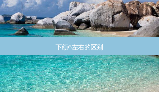 下颌6左右的区别-第1张图片-美呗严选网 下颌6左右的区别-第1张图片-美呗严选网
