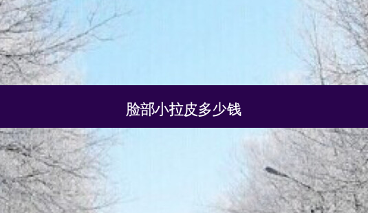 脸部小拉皮多少钱-第1张图片-美呗严选网 脸部小拉皮多少钱-第1张图片-美呗严选网
