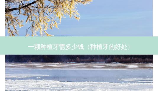 一颗种植牙需多少钱(种植牙的好处)-第1张图片-美呗严选网 一颗种植牙需多少钱(种植牙的好处)-第1张图片-美呗严选网
