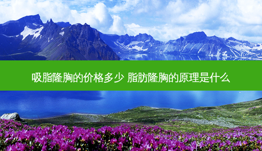 吸脂隆胸的价格多少 脂肪隆胸的原理是什么-第1张图片-美呗严选网