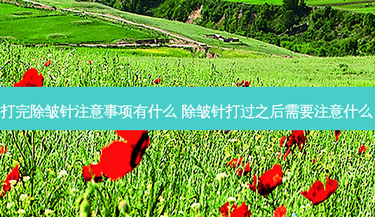 打完除皱针注意事项有什么 除皱针打过之后需要注意什么-第1张图片-美呗严选网 打完除皱针注意事项有什么 除皱针打过之后需要注意什么-第1张图片-美呗严选网