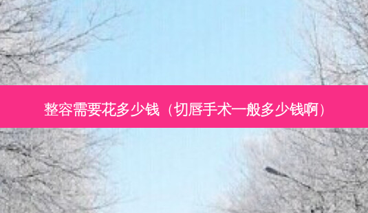 整容需要花多少钱(切唇手术一般多少钱啊)-第1张图片-美呗严选网 整容需要花多少钱(切唇手术一般多少钱啊)-第1张图片-美呗严选网