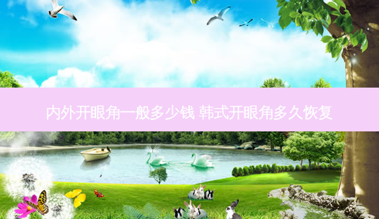 内外开眼角一般多少钱 韩式开眼角多久恢复-第1张图片-美呗严选网 内外开眼角一般多少钱 韩式开眼角多久恢复-第1张图片-美呗严选网