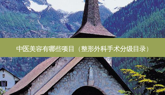 中医美容有哪些项目(整形外科手术分级目录)-第1张图片-美呗严选网 中医美容有哪些项目(整形外科手术分级目录)-第1张图片-美呗严选网