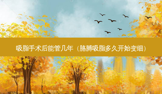吸脂手术后能管几年(胳膊吸脂多久开始变细)-第1张图片-美呗严选网 吸脂手术后能管几年(胳膊吸脂多久开始变细)-第1张图片-美呗严选网