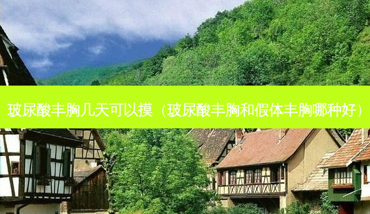 玻尿酸丰胸几天可以摸(玻尿酸丰胸和假体丰胸哪种好)-第1张图片-美呗严选网 玻尿酸丰胸几天可以摸(玻尿酸丰胸和假体丰胸哪种好)-第1张图片-美呗严选网