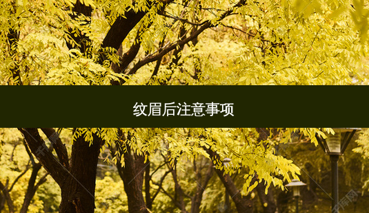 纹眉后注意事项-第1张图片-美呗严选网 纹眉后注意事项-第1张图片-美呗严选网