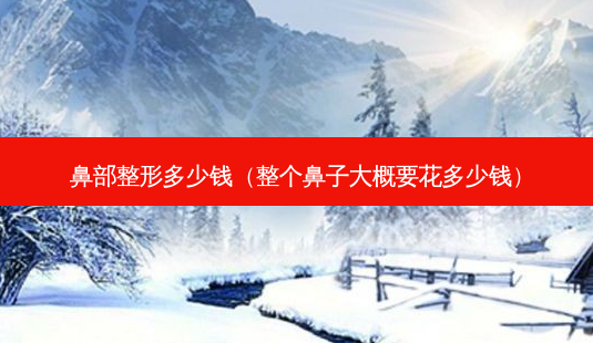 鼻部整形多少钱(整个鼻子大概要花多少钱)-第1张图片-美呗严选网 鼻部整形多少钱(整个鼻子大概要花多少钱)-第1张图片-美呗严选网