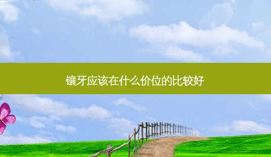 镶牙应该在什么价位的比较好-第1张图片-美呗严选网 镶牙应该在什么价位的比较好-第1张图片-美呗严选网