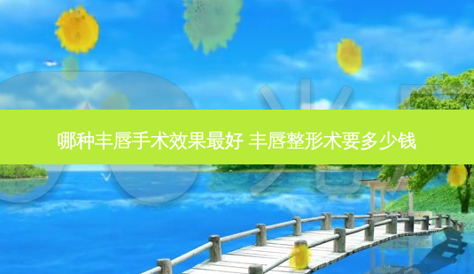 哪种丰唇手术效果好 丰唇整形术要多少钱-第1张图片-美呗严选网 哪种丰唇手术效果好 丰唇整形术要多少钱-第1张图片-美呗严选网