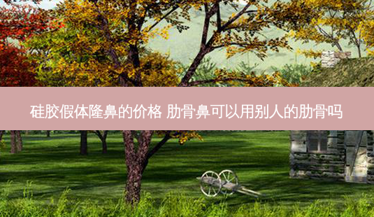 硅胶假体隆鼻的价格 肋骨鼻可以用别人的肋骨吗-第1张图片-美呗严选网 硅胶假体隆鼻的价格 肋骨鼻可以用别人的肋骨吗-第1张图片-美呗严选网