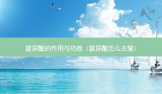 玻尿酸的作用与功效(玻尿酸怎么去皱)-第1张图片-美呗严选网 玻尿酸的作用与功效(玻尿酸怎么去皱)-第1张图片-美呗严选网