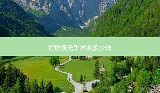 脂肪填充手术要多少钱-第1张图片-美呗严选网 脂肪填充手术要多少钱-第1张图片-美呗严选网