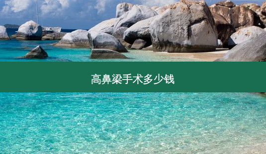 高鼻梁手术多少钱-第1张图片-美呗严选网 高鼻梁手术多少钱-第1张图片-美呗严选网