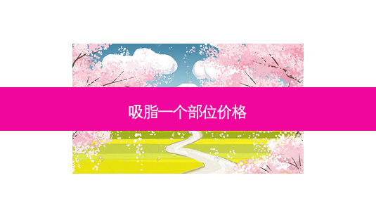 吸脂一个部位价格-第1张图片-美呗严选网 吸脂一个部位价格-第1张图片-美呗严选网