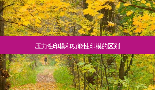 压力性印模和功能性印模的区别-第1张图片-美呗严选网 压力性印模和功能性印模的区别-第1张图片-美呗严选网