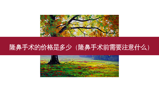 隆鼻手术的价格是多少(隆鼻手术前需要注意什么)-第1张图片-美呗严选网 隆鼻手术的价格是多少(隆鼻手术前需要注意什么)-第1张图片-美呗严选网