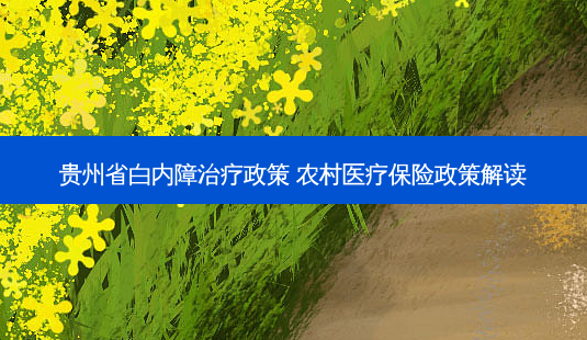贵州省白内障治疗政策 农村医疗保险政策解读-第1张图片-美呗严选网