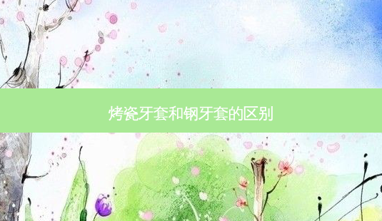 烤瓷牙套和钢牙套的区别-第1张图片-美呗严选网