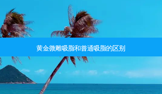 黄金微雕吸脂和普通吸脂的区别-第1张图片-美呗严选网