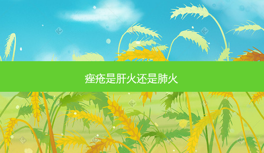 痤疮是肝火还是肺火-第1张图片-美呗严选网 痤疮是肝火还是肺火-第1张图片-美呗严选网