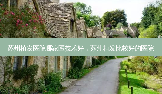 苏州植发医院哪家医技术好,苏州植发比较好的医院-第1张图片-美呗严选网 苏州植发医院哪家医技术好,苏州植发比较好的医院-第1张图片-美呗严选网