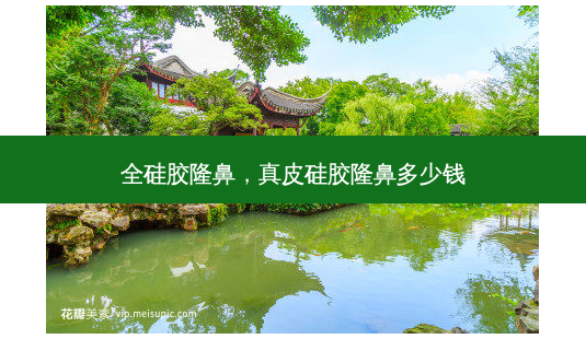 全硅胶隆鼻,真皮硅胶隆鼻多少钱-第1张图片-美呗严选网 全硅胶隆鼻,真皮硅胶隆鼻多少钱-第1张图片-美呗严选网