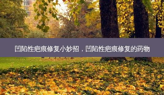 凹陷性疤痕修复小妙招,凹陷性疤痕修复的药物-第1张图片-美呗严选网 凹陷性疤痕修复小妙招,凹陷性疤痕修复的药物-第1张图片-美呗严选网