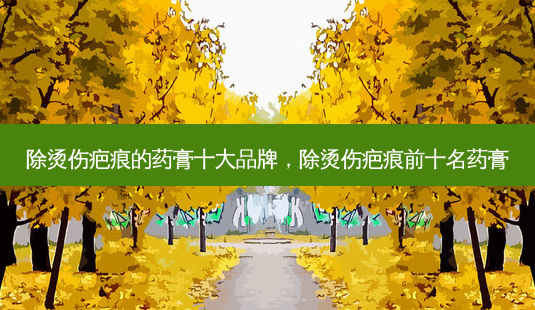 除烫伤疤痕的药膏十大品牌,除烫伤疤痕前十名药膏-第1张图片-美呗严选网 除烫伤疤痕的药膏十大品牌,除烫伤疤痕前十名药膏-第1张图片-美呗严选网