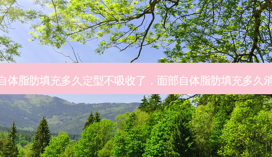 面部自体脂肪填充多久定型不吸收了,面部自体脂肪填充多久消肿啊-第1张图片-美呗严选网 面部自体脂肪填充多久定型不吸收了,面部自体脂肪填充多久消肿啊-第1张图片-美呗严选网