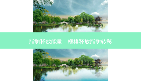 脂肪释放能量,框格释放脂肪转移-第1张图片-美呗严选网 脂肪释放能量,框格释放脂肪转移-第1张图片-美呗严选网