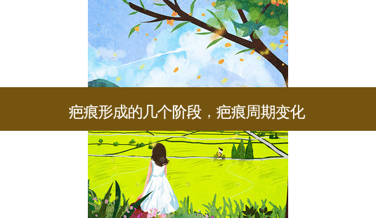 疤痕形成的几个阶段,疤痕周期变化-第1张图片-美呗严选网 疤痕形成的几个阶段,疤痕周期变化-第1张图片-美呗严选网