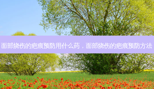 面部烧伤的疤痕预防用什么药,面部烧伤的疤痕预防 *** -第1张图片-美呗严选网 面部烧伤的疤痕预防用什么药,面部烧伤的疤痕预防 *** -第1张图片-美呗严选网