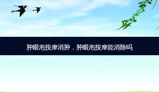 肿眼泡 *** 消肿，肿眼泡 *** 能消除吗-第1张图片-美呗严选网