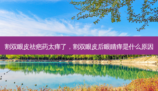 割双眼皮祛疤药太痒了,割双眼皮后眼睛痒是什么原因-第1张图片-美呗严选网 割双眼皮祛疤药太痒了,割双眼皮后眼睛痒是什么原因-第1张图片-美呗严选网