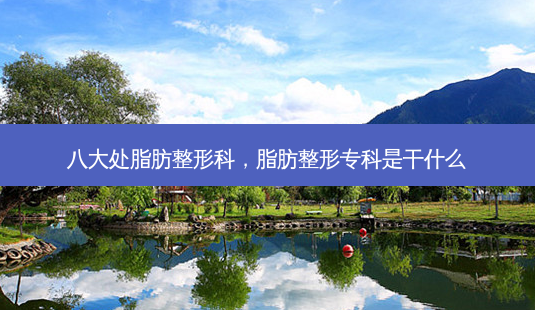 八大处脂肪整形科,脂肪整形专科是干什么-第1张图片-美呗严选网 八大处脂肪整形科,脂肪整形专科是干什么-第1张图片-美呗严选网
