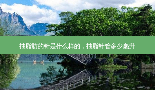 抽脂肪的针是什么样的,抽脂针管多少毫升-第1张图片-美呗严选网 抽脂肪的针是什么样的,抽脂针管多少毫升-第1张图片-美呗严选网