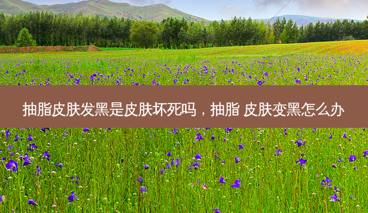 抽脂皮肤发黑是皮肤坏死吗,抽脂 皮肤变黑怎么办-第1张图片-美呗严选网 抽脂皮肤发黑是皮肤坏死吗,抽脂 皮肤变黑怎么办-第1张图片-美呗严选网