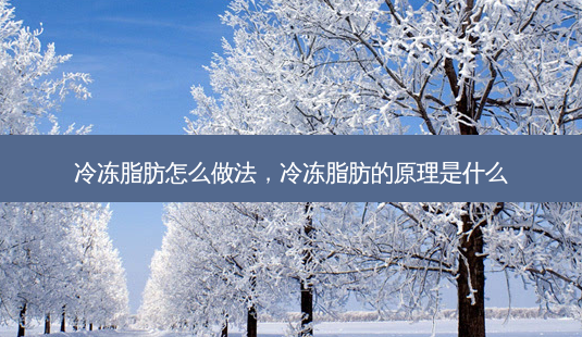 冷冻脂肪怎么做法,冷冻脂肪的原理是什么-第1张图片-美呗严选网 冷冻脂肪怎么做法,冷冻脂肪的原理是什么-第1张图片-美呗严选网